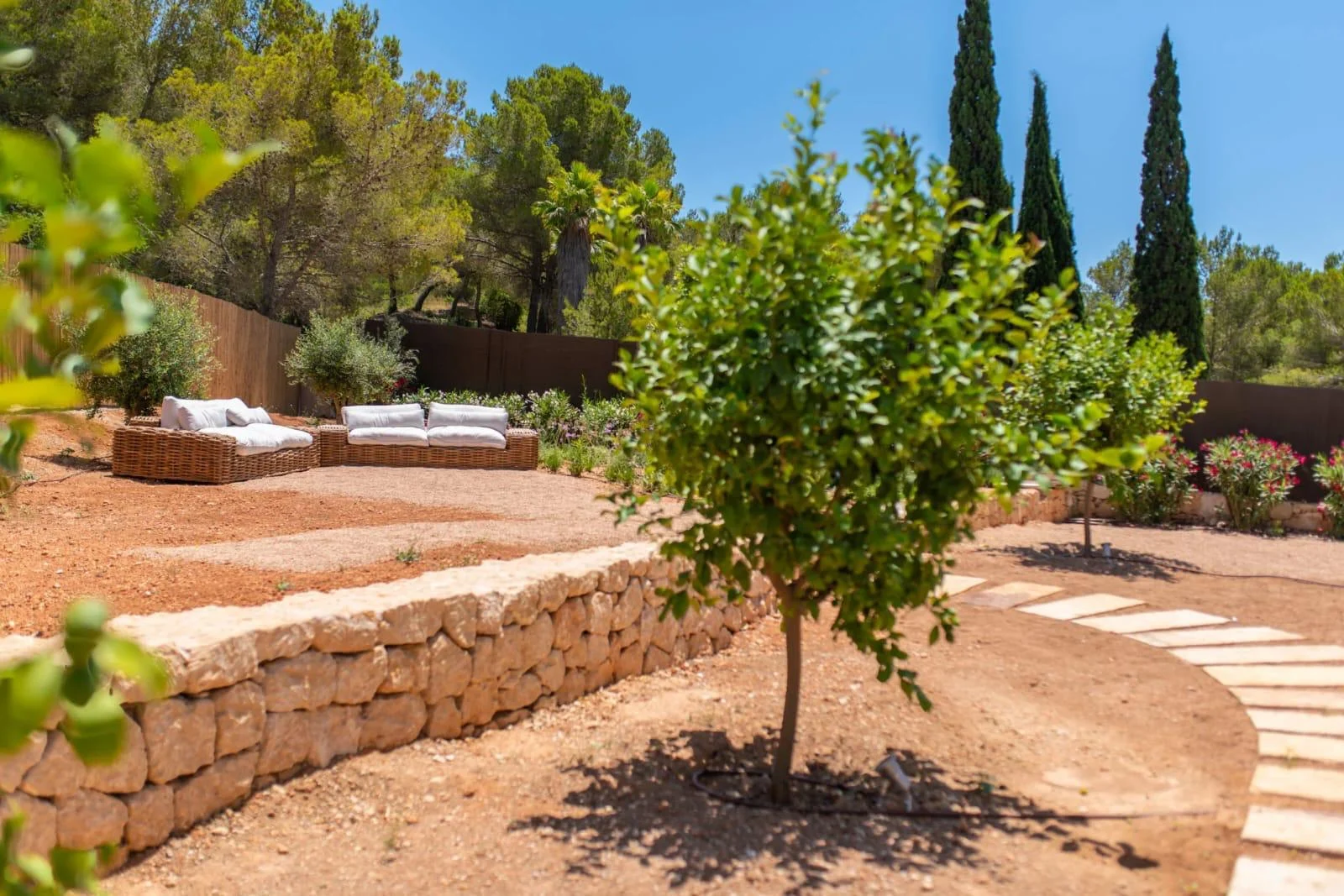 PHOTO-2025-02-03-16-49-23 13