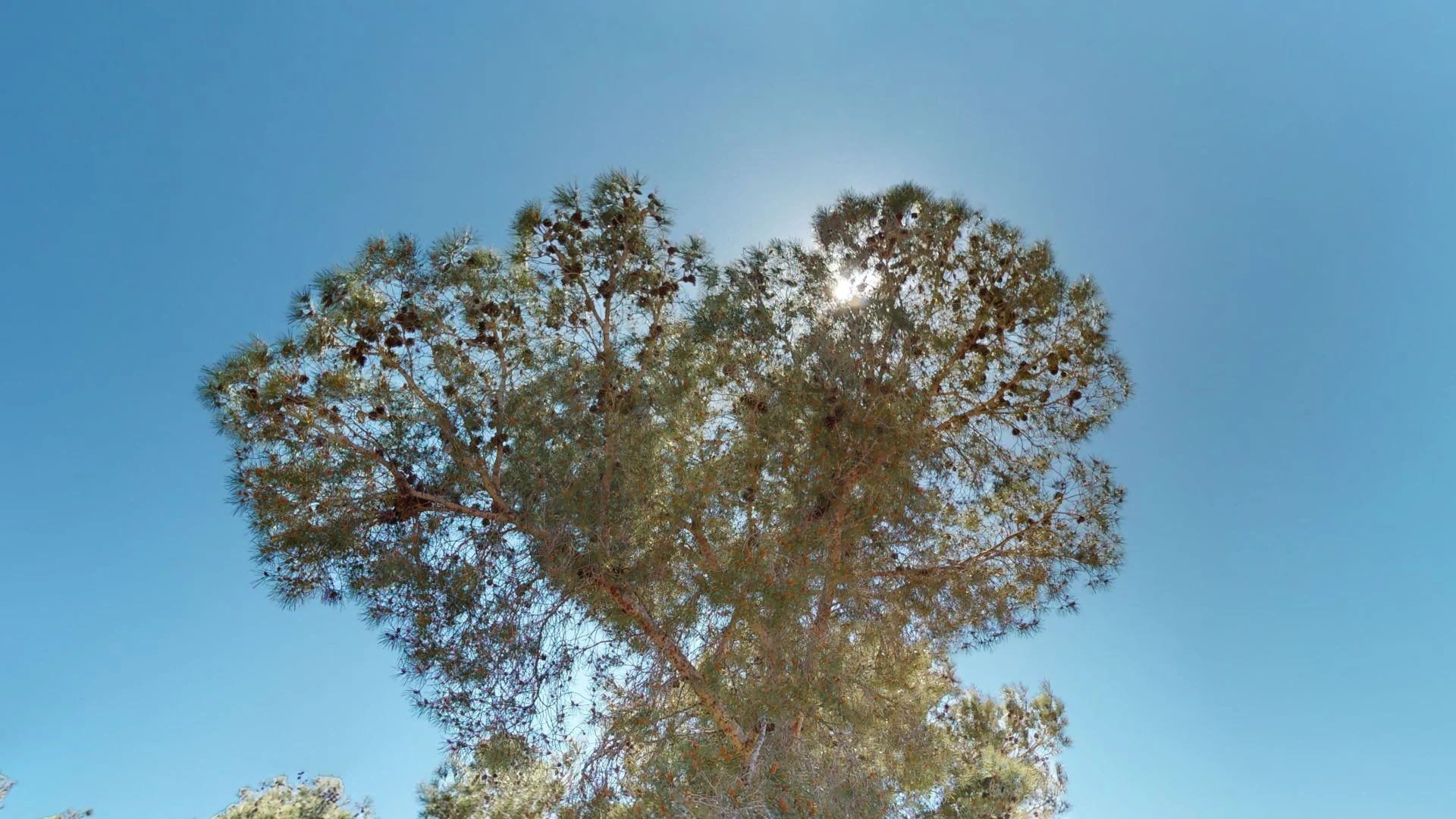 C-a-n-P-o-u-04122023_161631