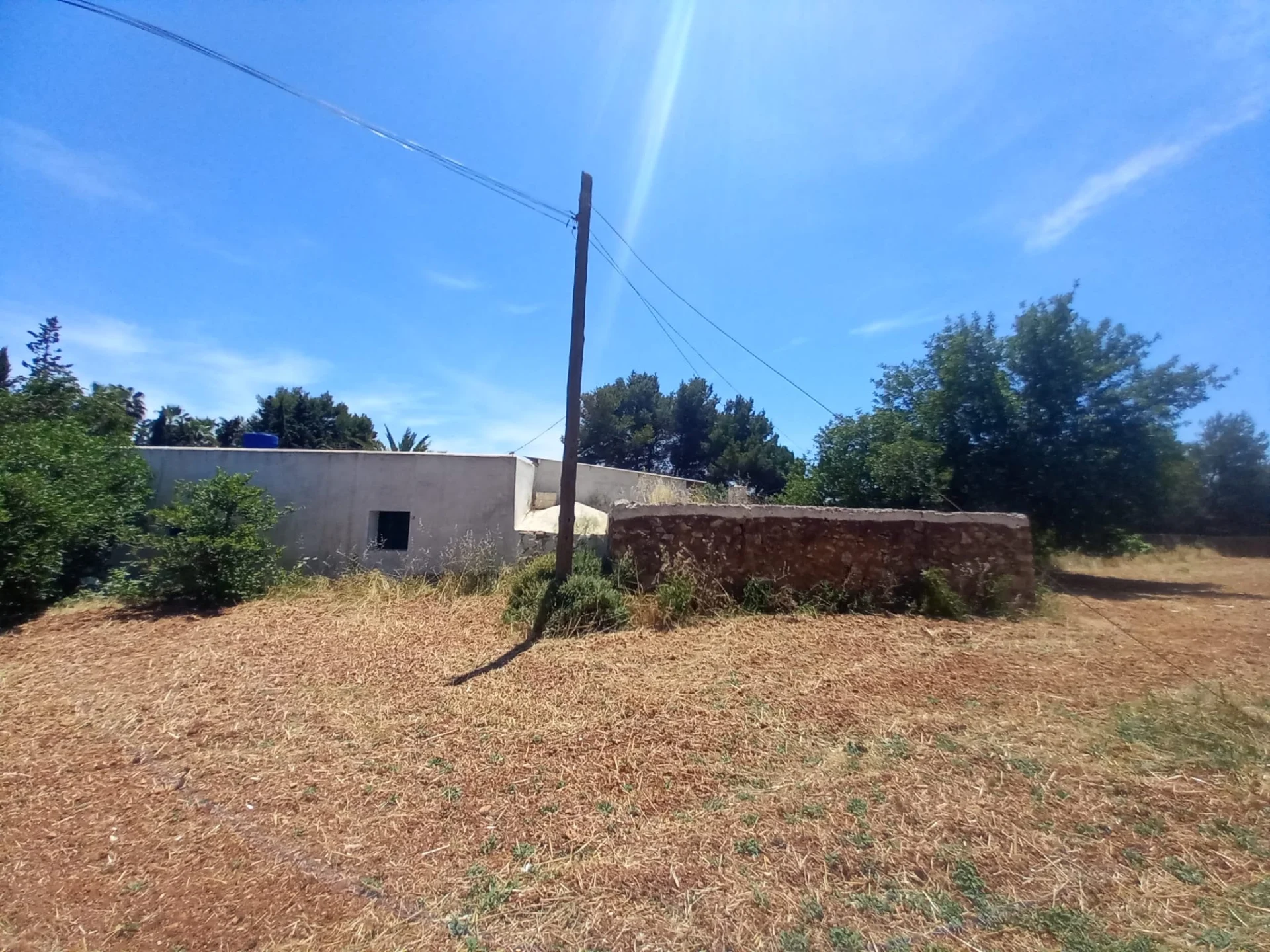 005c95a7-9350-4f79-a791-cfbbfcc2c907