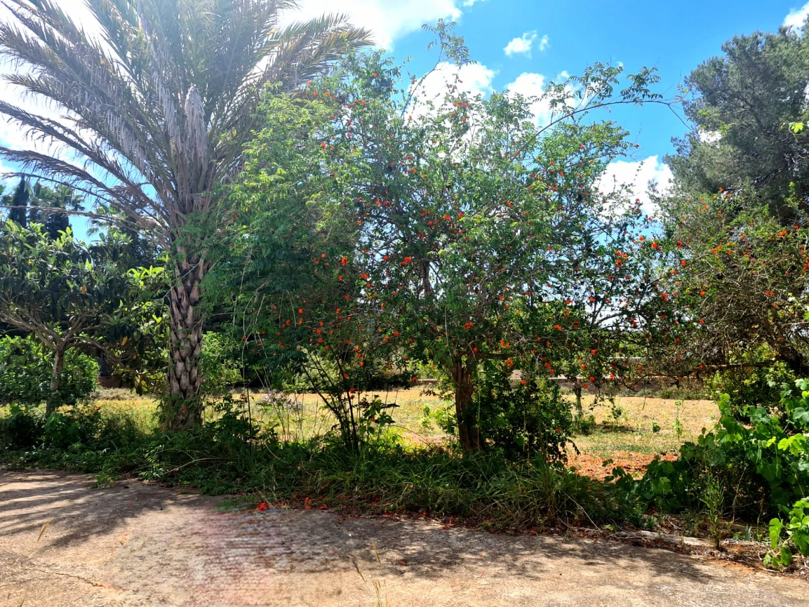 14c79944-99b1-4134-ad09-f9d67734cfdc