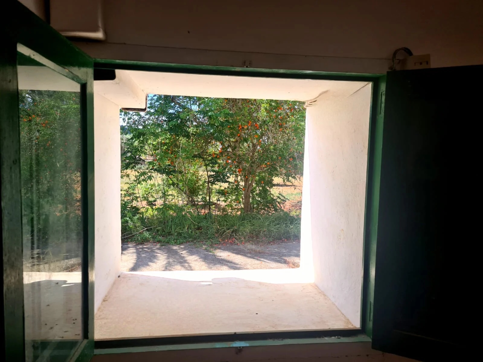 23eae418-a2f7-4c15-bd36-1214d434d5a1