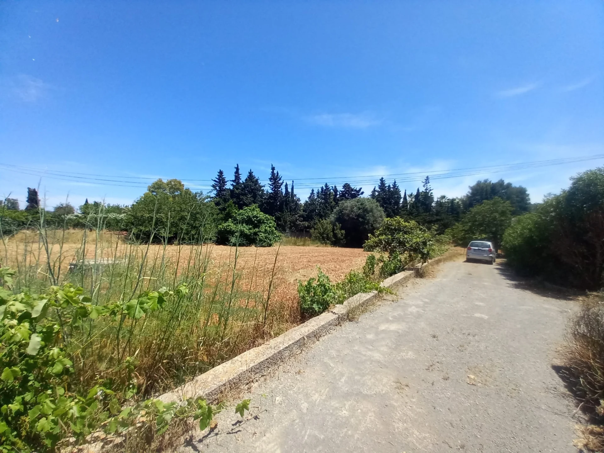 PHOTO-2024-02-07-12-25-35 2