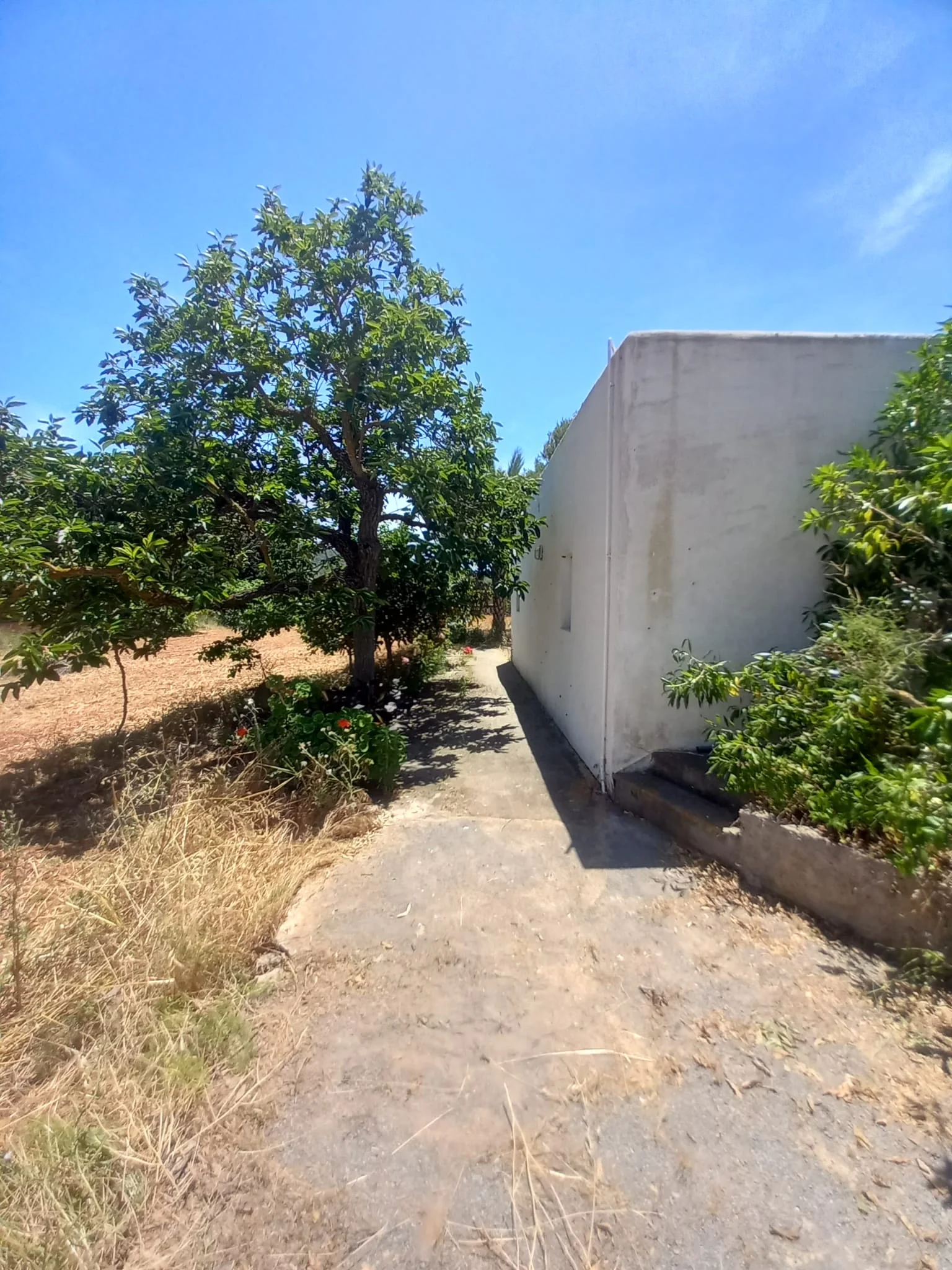 PHOTO-2024-02-07-12-25-35 3