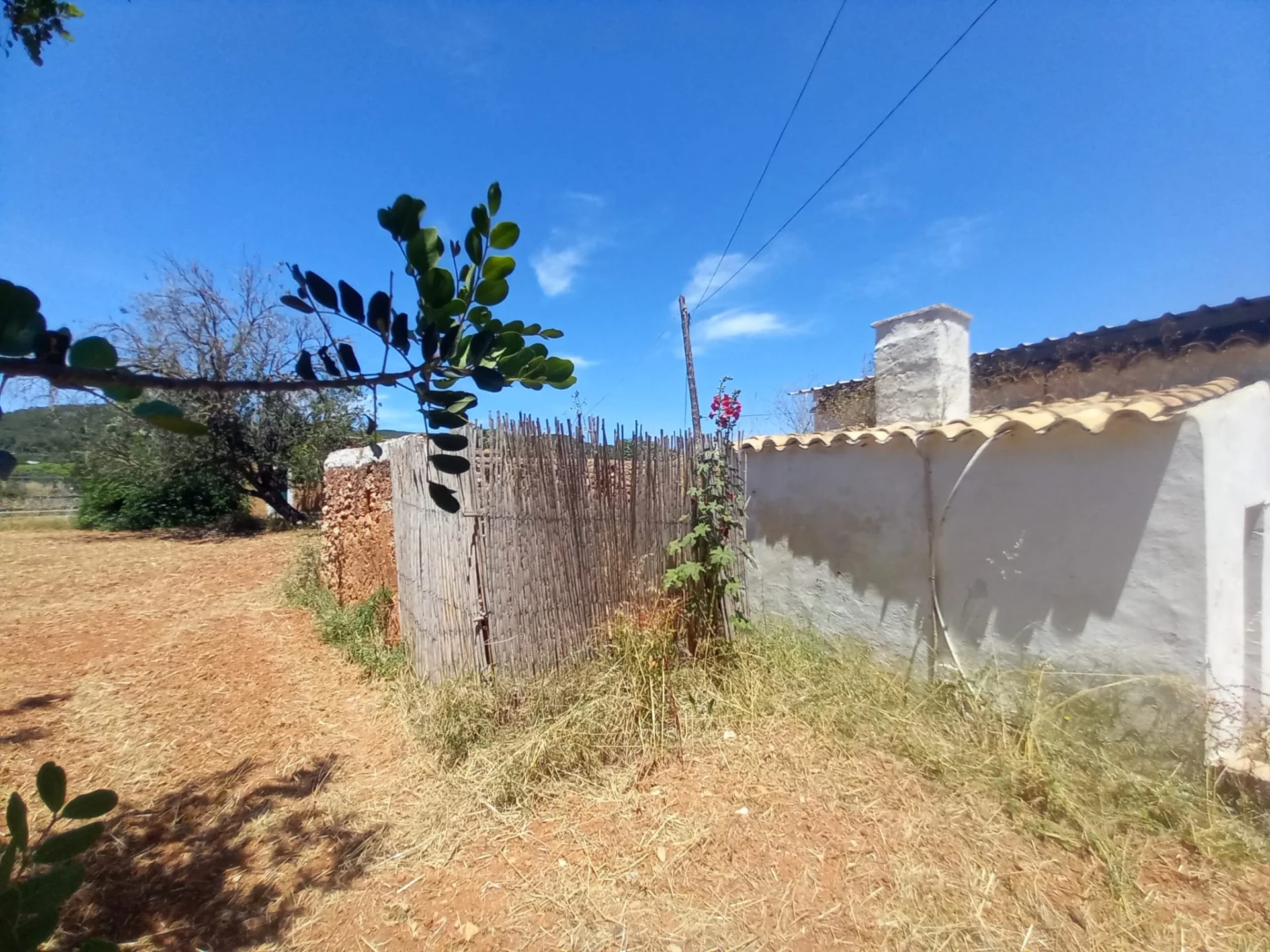 PHOTO-2024-02-07-12-25-35 5