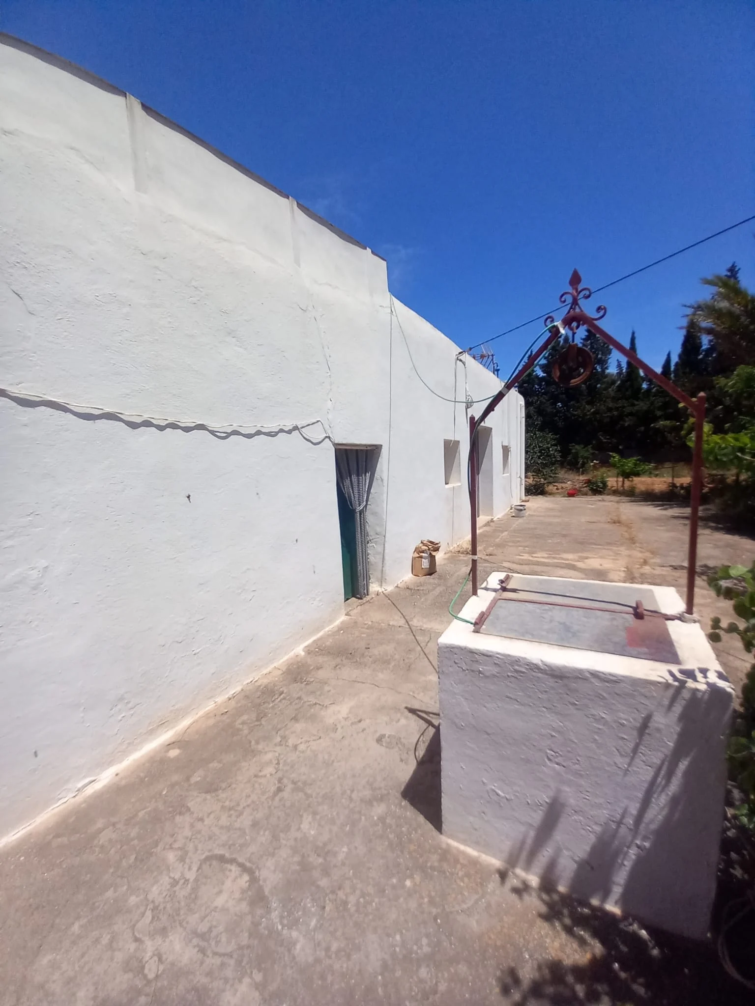 PHOTO-2024-02-07-12-25-36 2