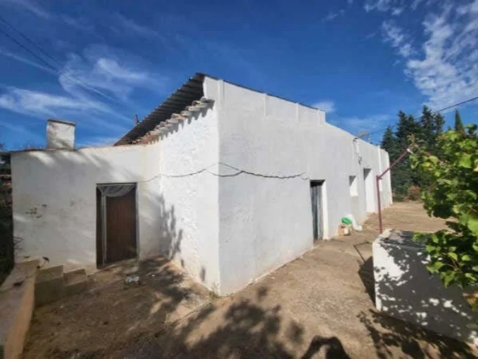 PHOTO-2024-02-07-12-25-36 3